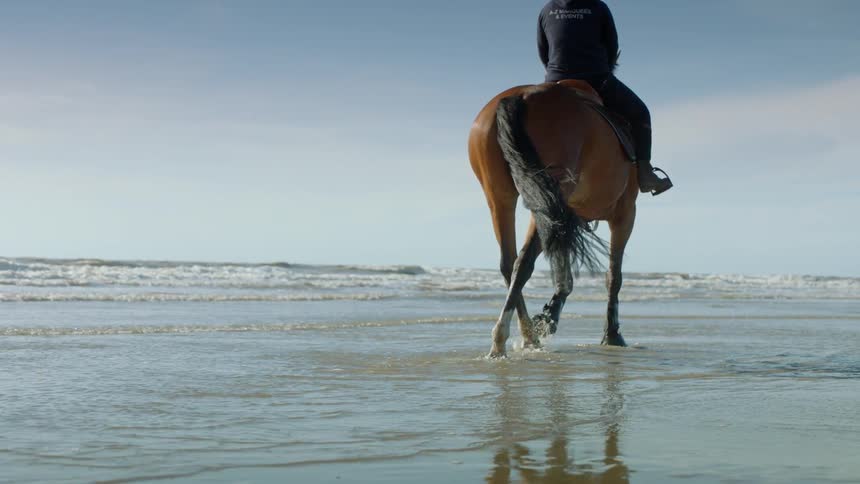 Person riding a horse on the beach on shallow ocean water