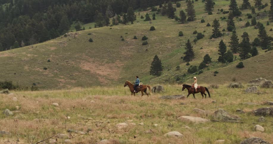 A man and a woman are each riding a horse in a grassy mountain area scattered with pine trees