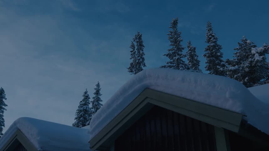 The roof of a house that is full of white snow and behind it there are pine trees