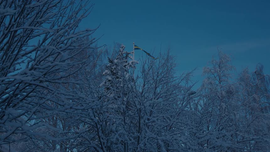 Flag among snowy trees