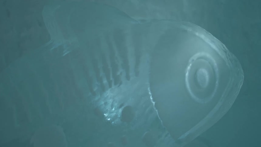 Close up of a drawing of an ice fish