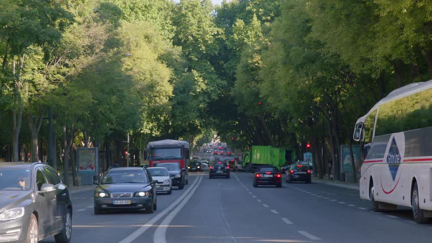 Cars drive on a tree-lined street
