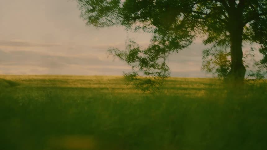 Person riding a bicycle through the woods in the morning