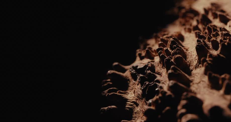 A rough piece of earth