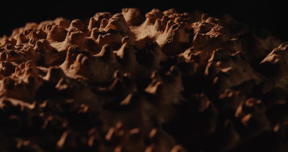Brown earthy texture