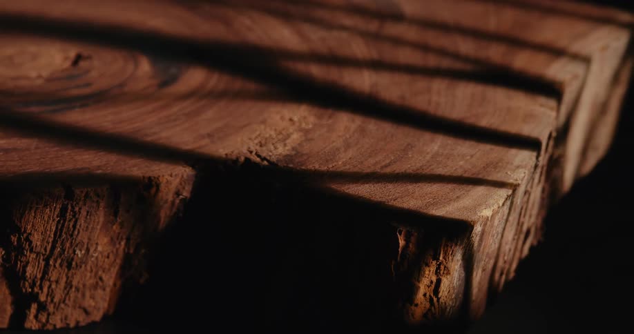 Rough slab of wood containsgrowth rings and rough edges