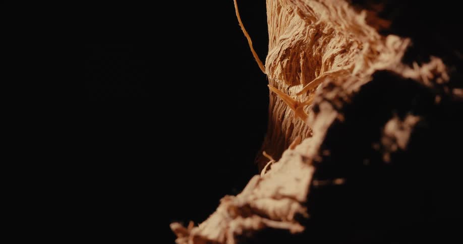 A piece of cut wood is spinning