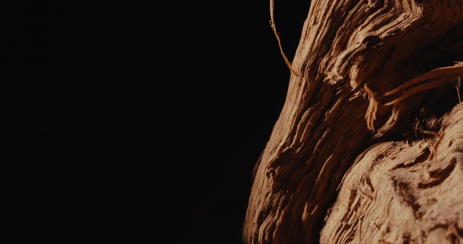 A close up of some shaved wood