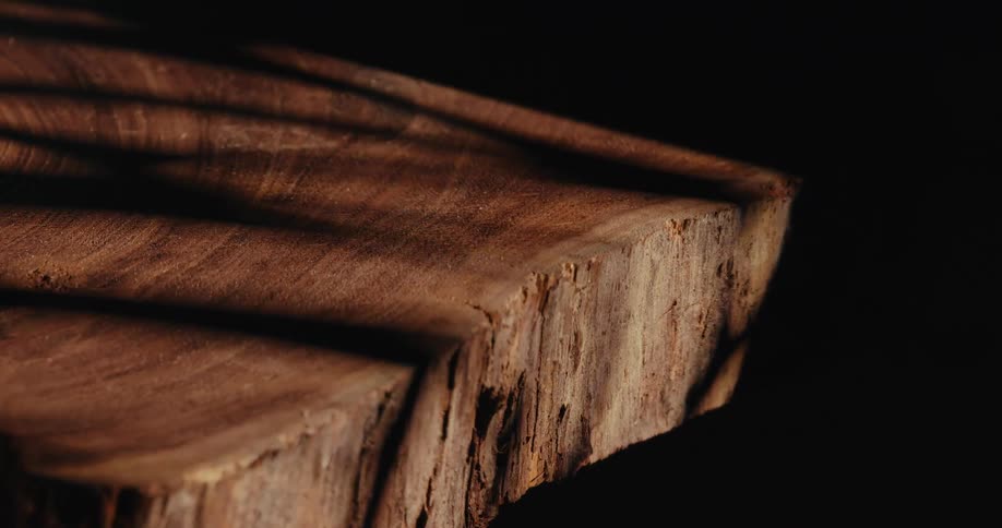 Light and shadow on a sliced wooden log