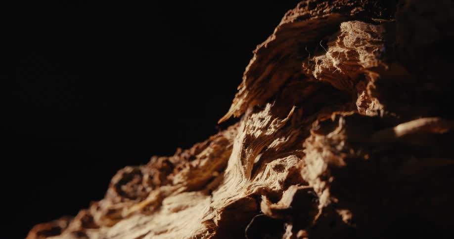 The broken tree stump is spinning