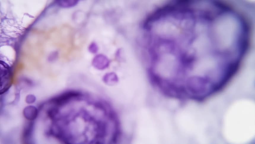 Abstract molecules in purple coloration against a white background
