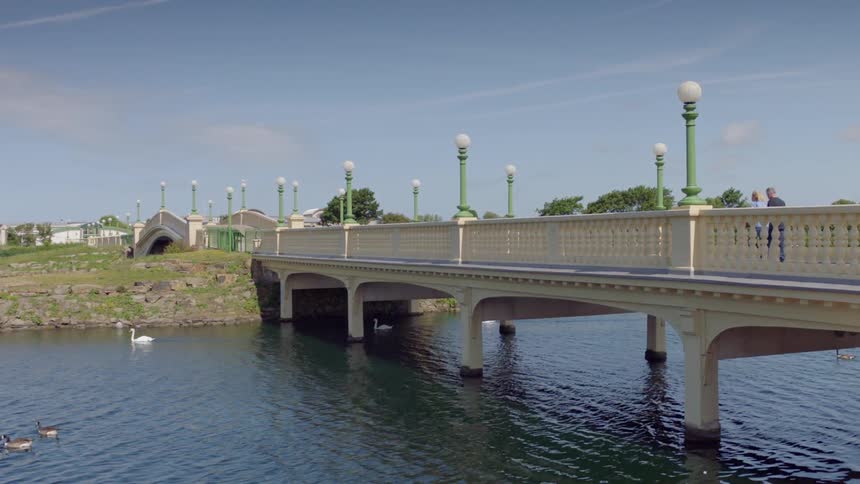 People walking on a bridge over a body of water with ducks and a swan in it