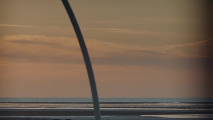 Birds fly in the cloudy sky over the beach