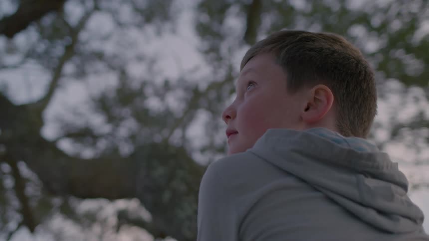 A boy is sitting under a tree