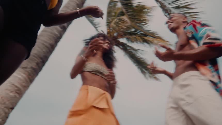 People are dancing under the palm tree