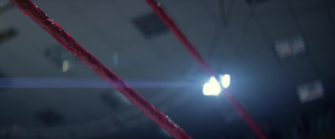 Lights shine behind red ropes
