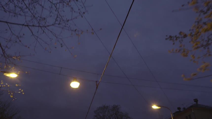Tree branches and electrical wires against a cloudy night sky