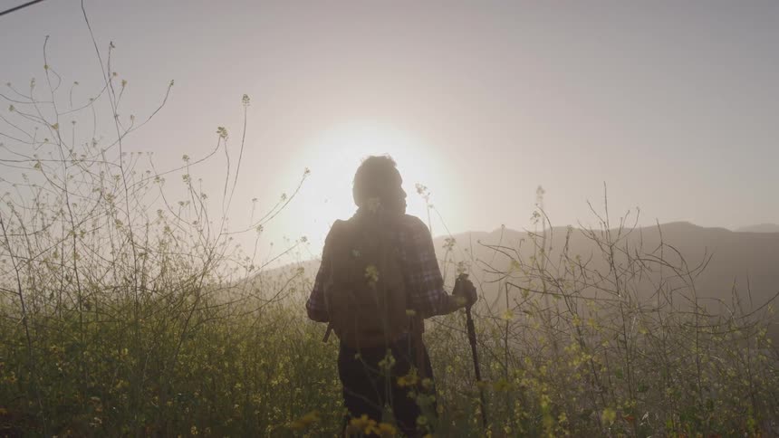 A person is hiking through a field of wildflowers during sunrise