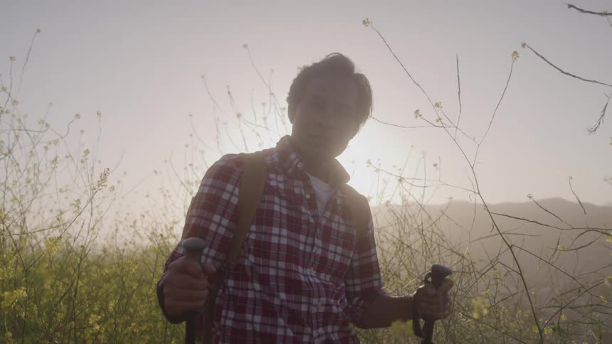 An older asian man holding hiking poles stands for a break in a sundrenched hazy field of yellow wildflowers looking around at the scenery