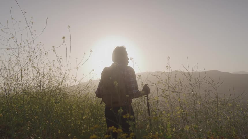 Man uses a walking stick to hike through a field full of tall weeds