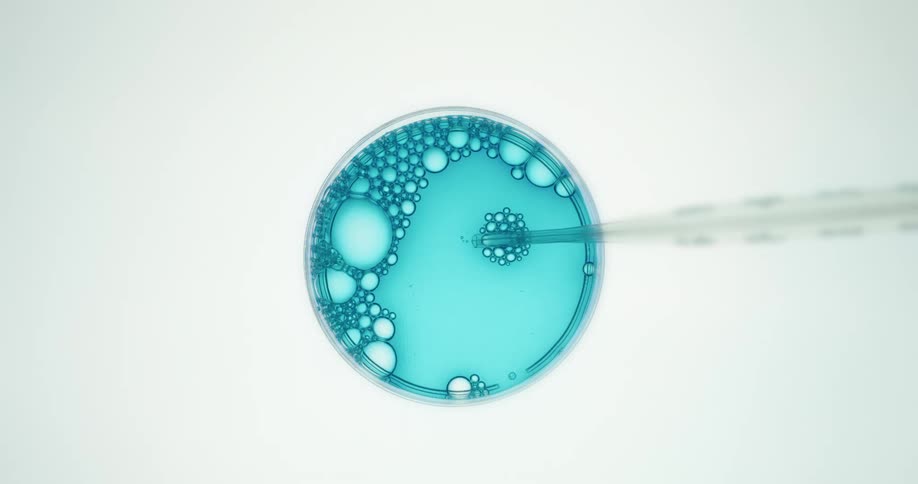 Blue liquid in a petri dish