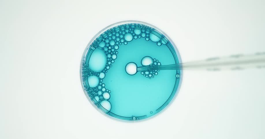 Blue liquid is dripped into a petri dish