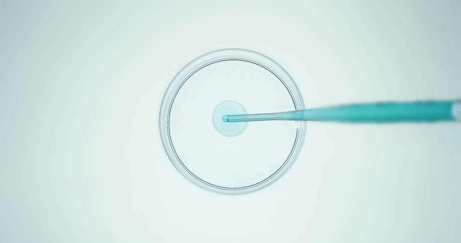 Blue liquid is dripped into a petri dish