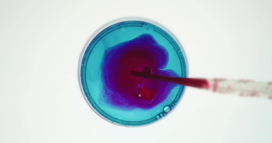 Red liquid is dripped into a petri dish turning the blue liquid purple