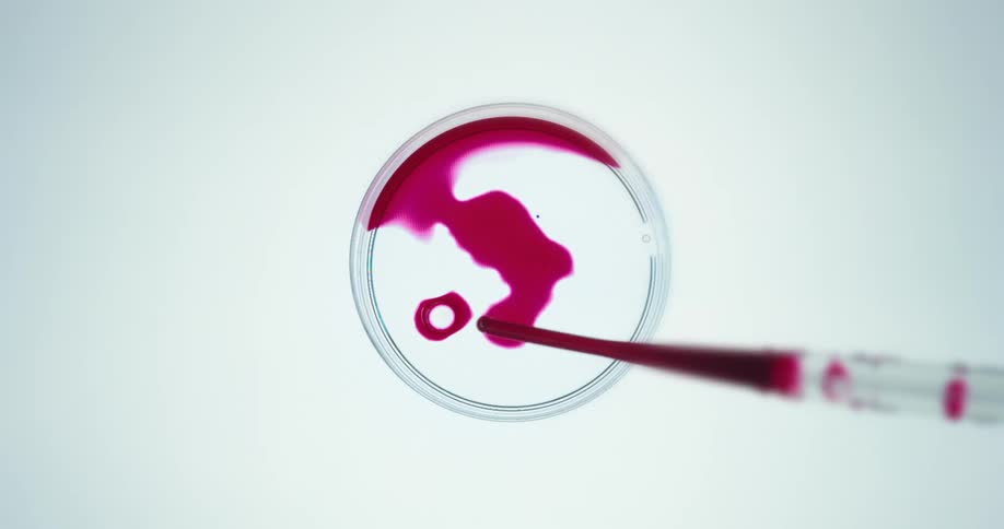 Red liquid is dripped into a petri dish