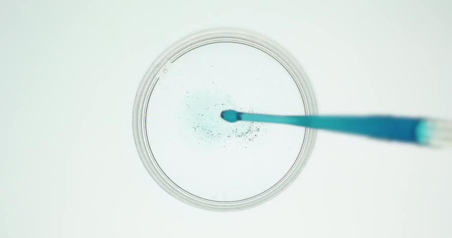 A drop of blue liquid is dripped onto a petri dish