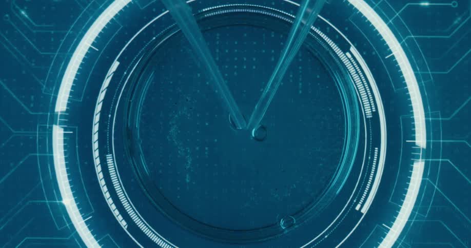 Pipettes manipulate bubbles inside a digital circle