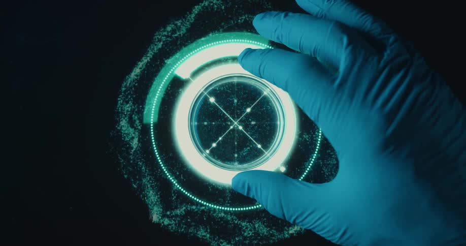 Close up of a petri dish sample arranged on a futuristic screen by a person for analysis