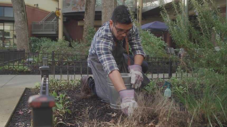 A man is gardening in an urban courtyard