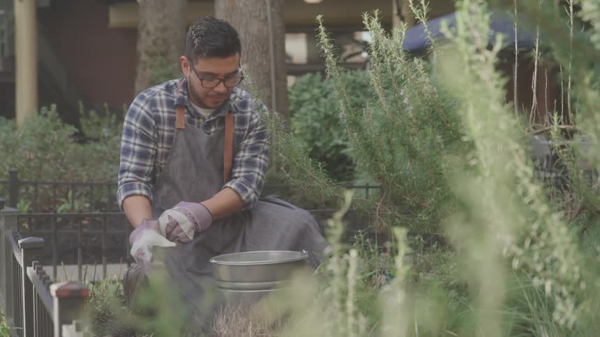 A man in gloves and an apron prepares for gardening in a lush outdoor area