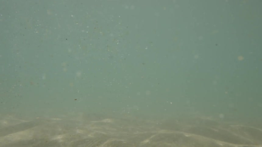 An underwater current whips up clouds of sand and sediment from the ocean floor creating a turbulent and murky scene