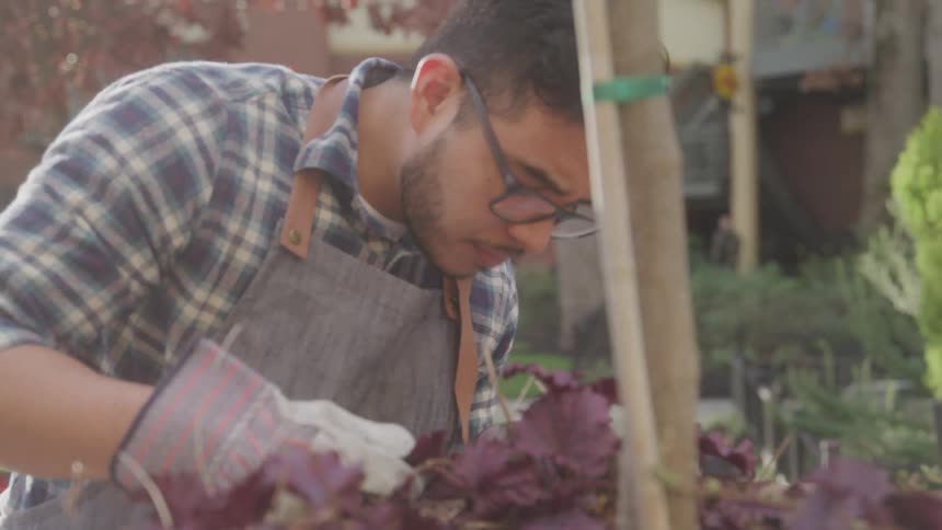 Gardener works outdoors in a retail neighborhood on an autumn day