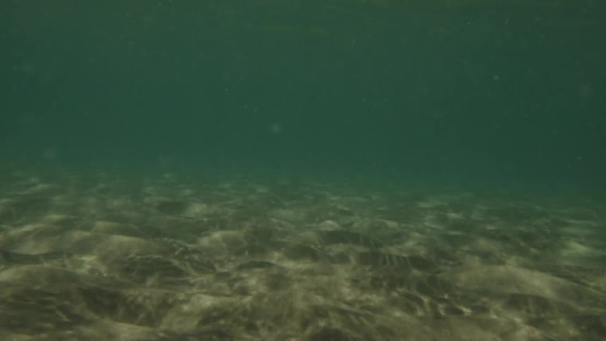 The bottom of the ocean floor