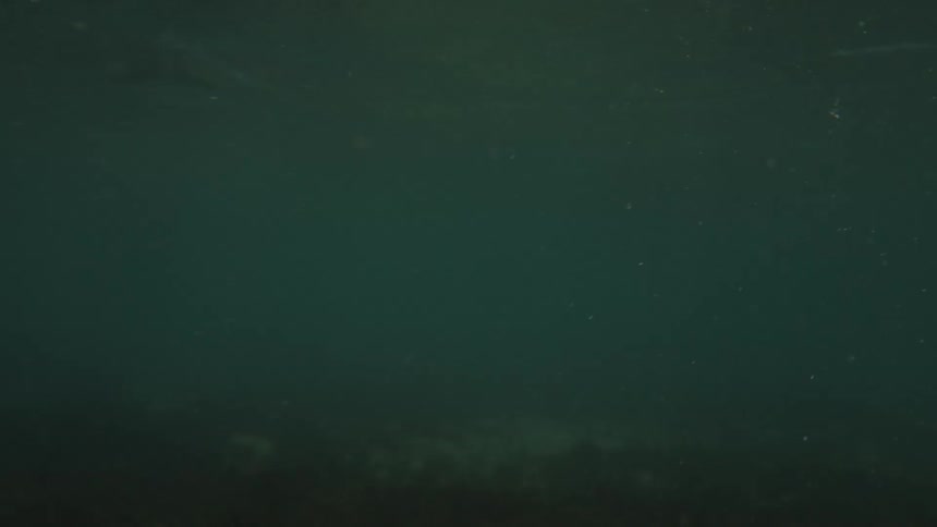 Its dark beneath the waves