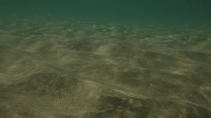 The sandy ocean floor