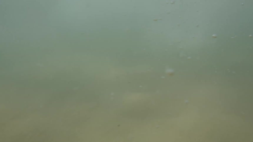 The bottom of the ocean floor