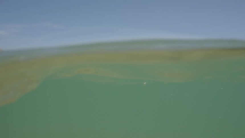Calm wavy ocean waters