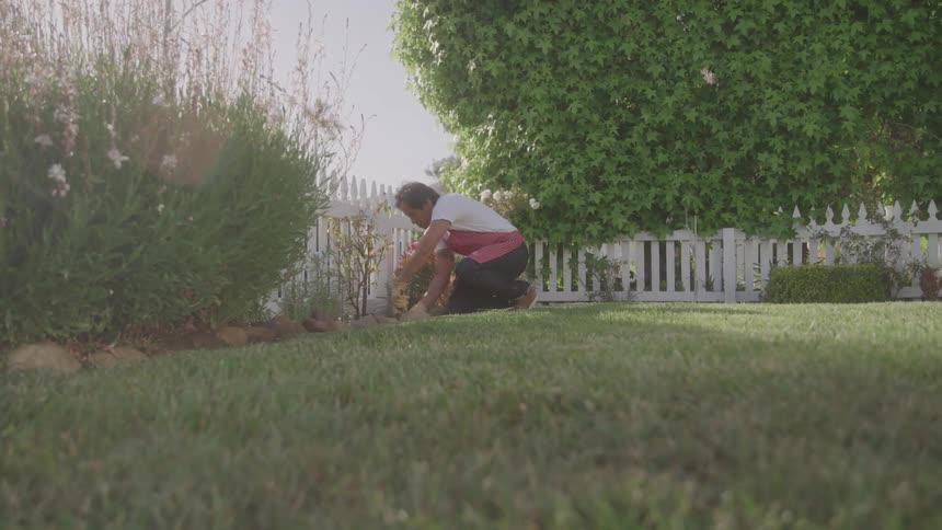 A man in a red apron kneels and works in a garden next to a white fence on a sunny day