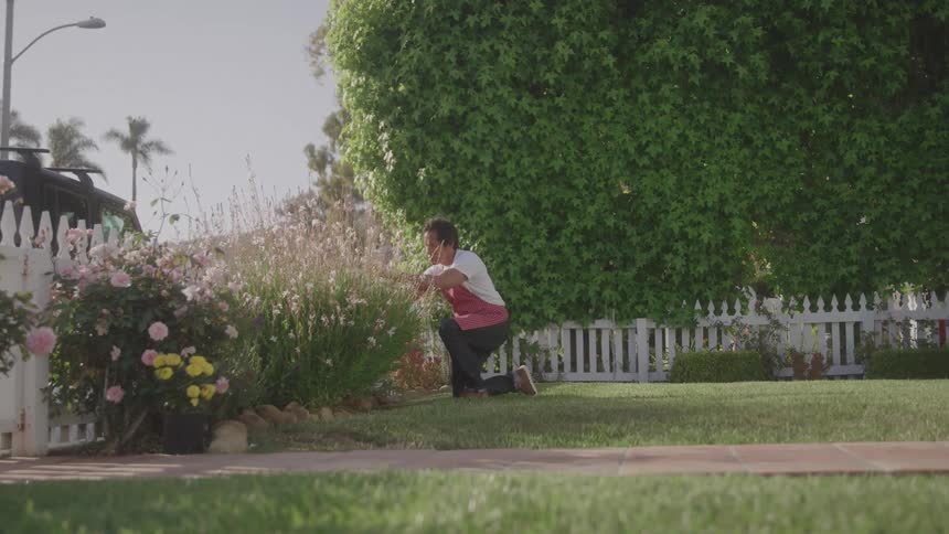 A person is gardening in a front yard surrounded by flowers and a white picket fence