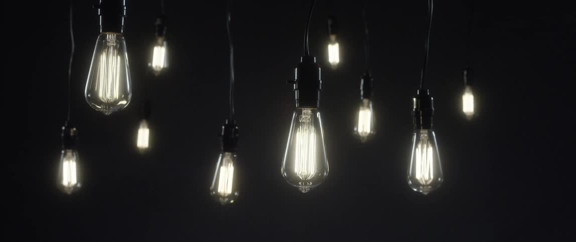 Lightbulbs hang from a ceiling