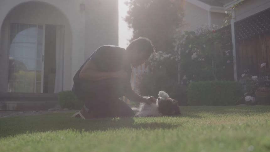 A person kneels on a vibrant green lawn petting with a fluffy white and brown dog in a sunlit backyard