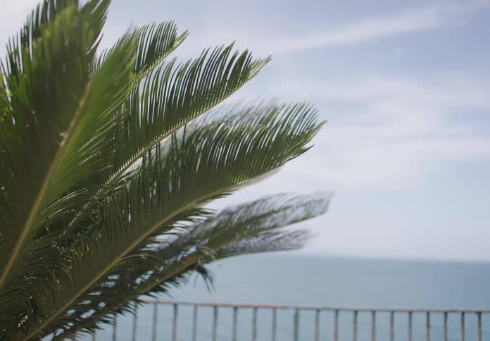 Wind blows the branches by the water