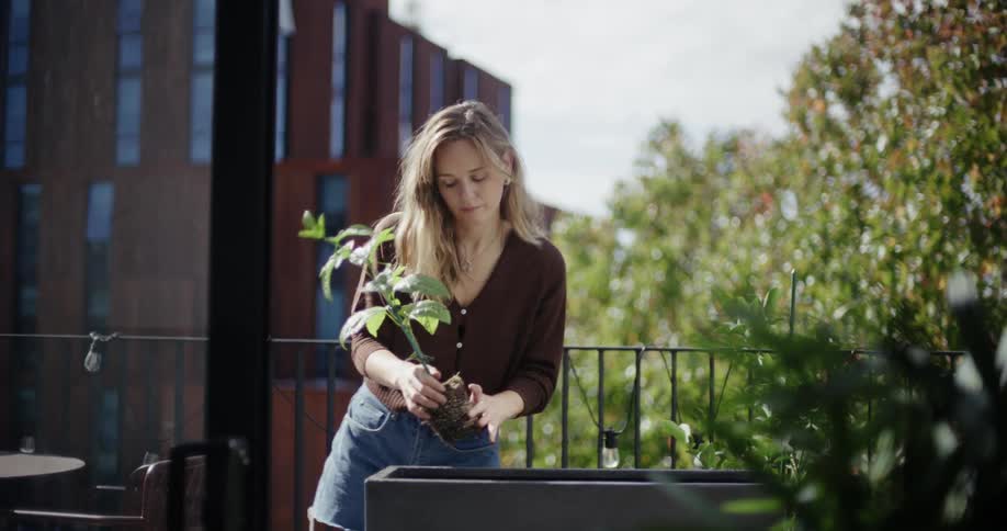 A woman plants a sapling