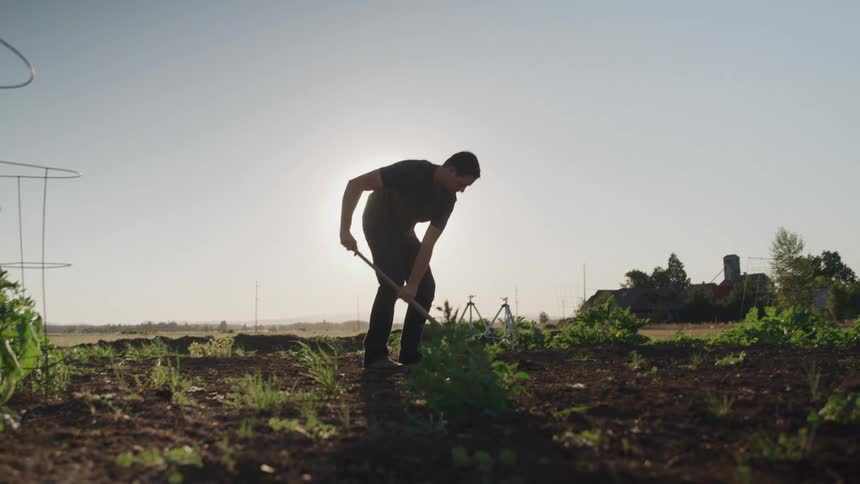 The man is shoveling in the soil