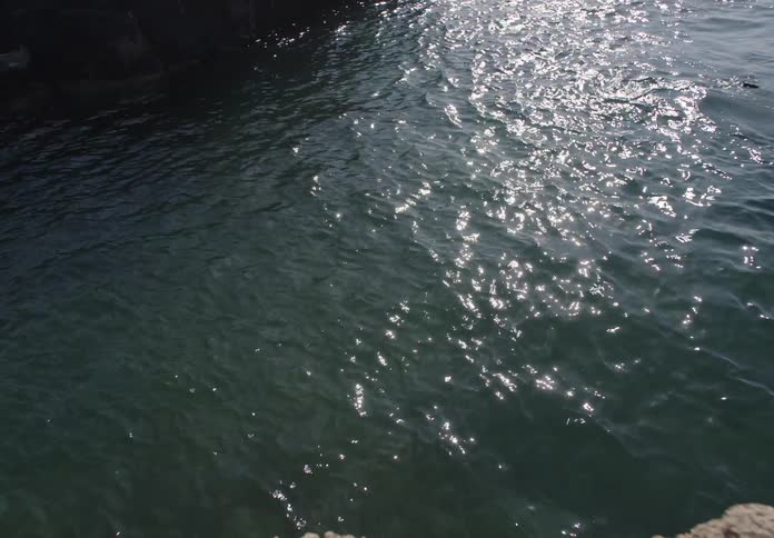 Sunlight reflects on the surface of calm dark water with subtle ripples