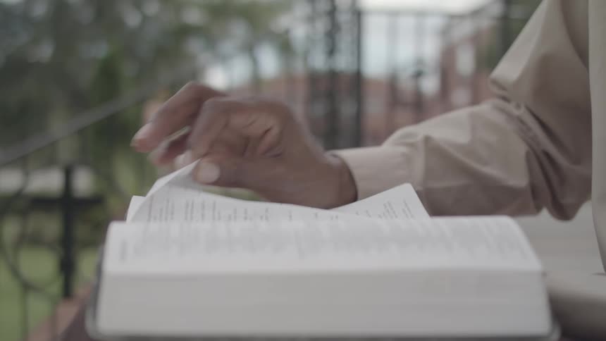 A person reading a book